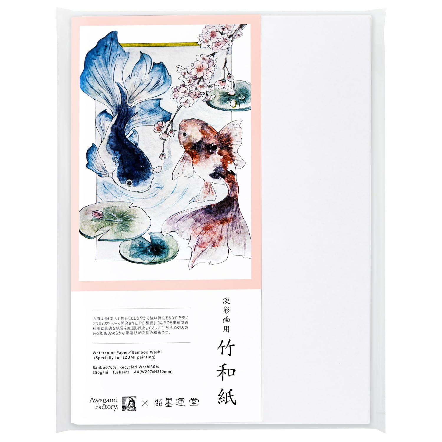 Amazon.co.jp: 墨運堂 和紙 淡彩画用 竹和紙 A4 10枚 24403 : ホビー